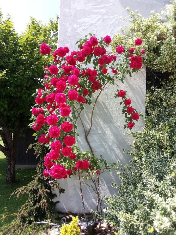 B&B La Casa Di Loretta Paderno Eksteriør bilde