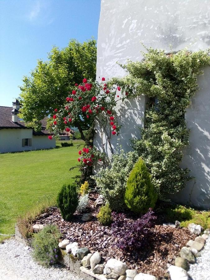 B&B La Casa Di Loretta Paderno Eksteriør bilde